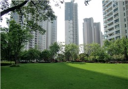 维保—世茂滨江花园